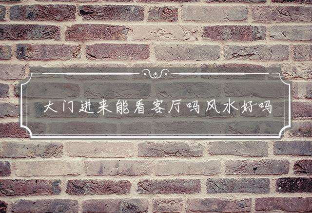 大门进来能看客厅吗风水好吗